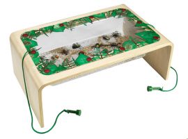 Magnetic Bug Life Handheld Edition